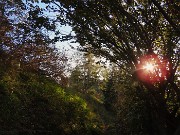 49 Si avvicina il tramonto